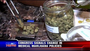 Congress signals change in medical marijuana policies - KUSI