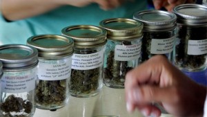 San Diego OKs two more medical marijuana dispensaries - U-T San Diego