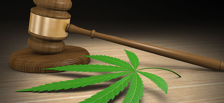 animated gavel and pot leaf