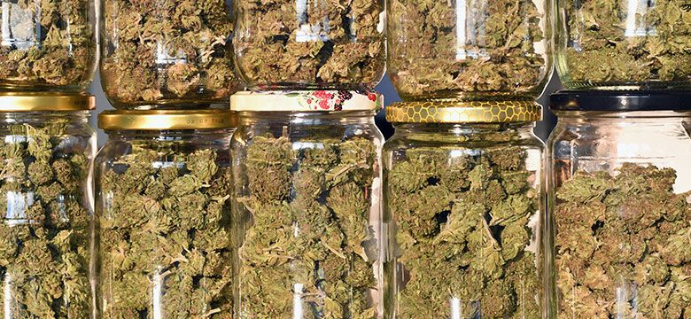 jars of marijuana stacked