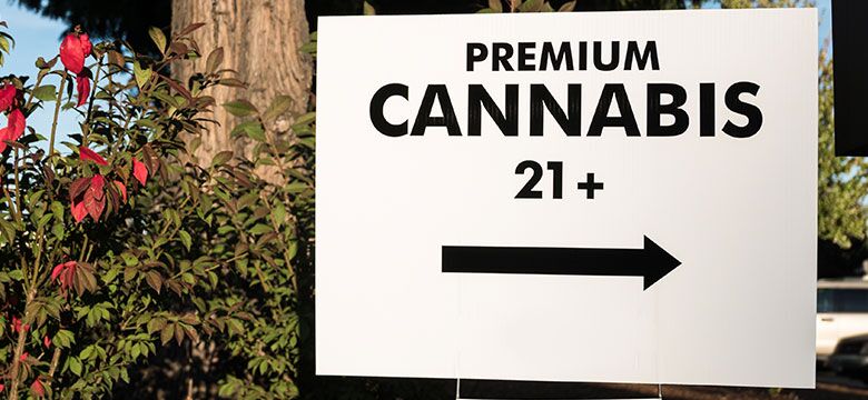 premium cannabis 21+ sign