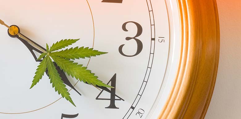 Off the clock marijuana use protection laws